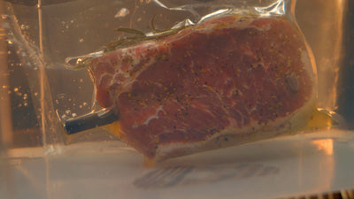 The MeatStick kabelloses Fleischthermometer mit Ladegerät, verschiedene Reichweiten