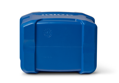 IGLOO Latitude 16 passive Kühlbox, 15 l - verschiedene Farben