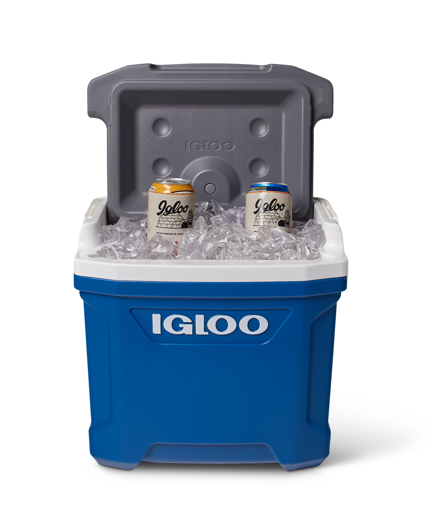 IGLOO Latitude 16 passive Kühlbox, 15 l - verschiedene Farben