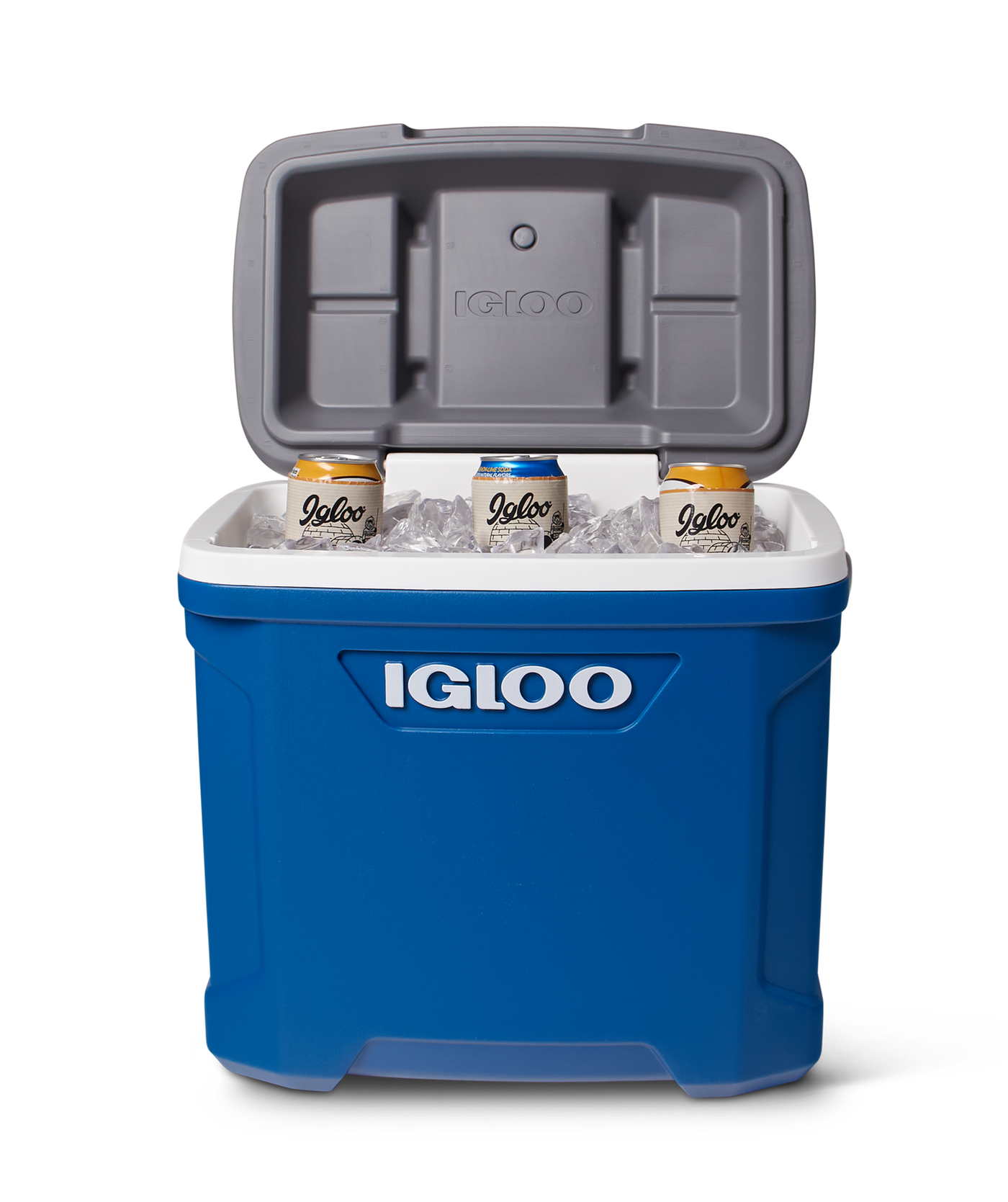 IGLOO Latitude 30 passive Kühlbox, 28 l - verschiedene Farben