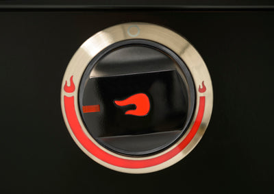 Char-Broil Professional 3500 B SE