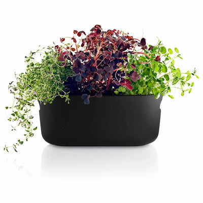 Eva Solo Herb-Organiser, selbstbewässernd, schwarz