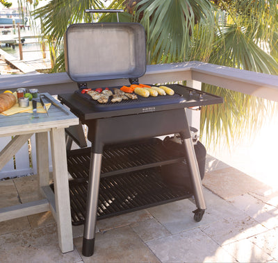 Everdure FORCE Gasgrill Modell 2024 mit Doppelboden, matt