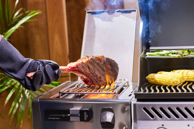 Napoleon ACCU-PROBE PRO X Bluetooth Thermometer