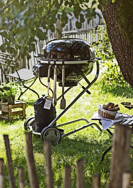 Roesle-Barbecue-Wender-matt-3